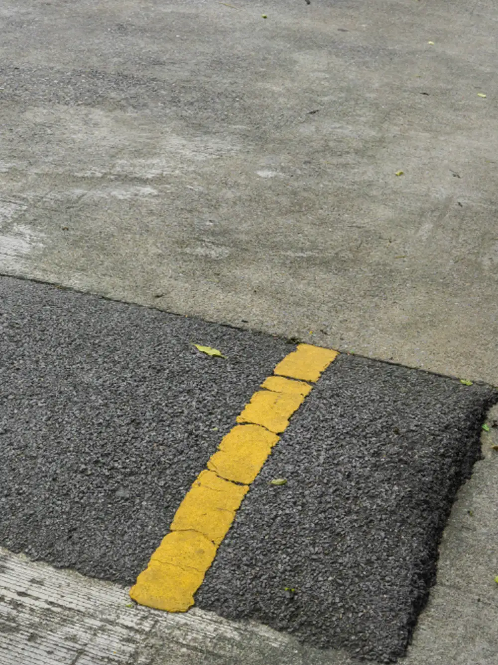 Speed Bump Service
